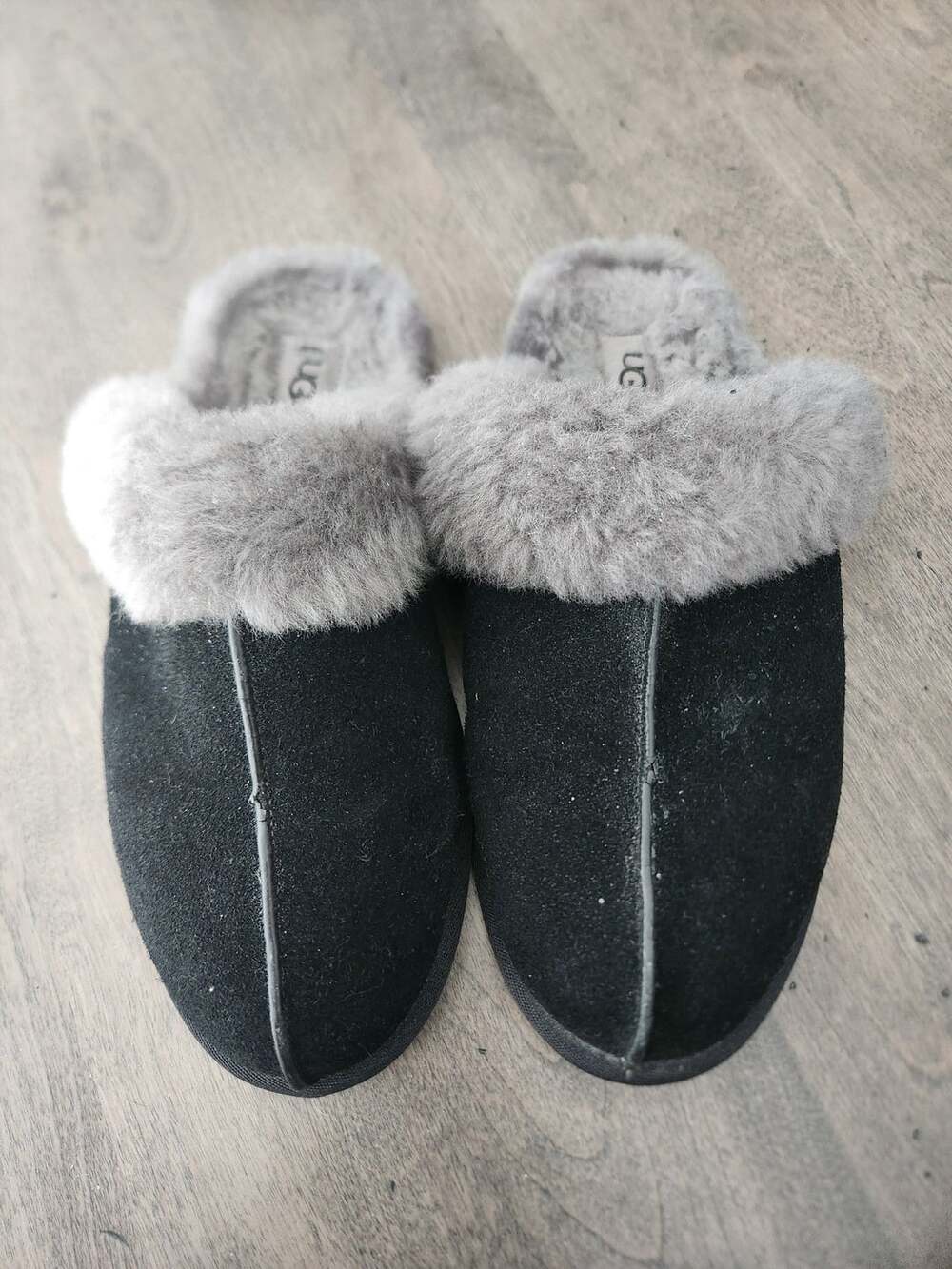 UGG Slippers